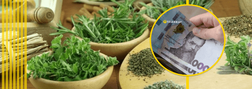 Прованські трави