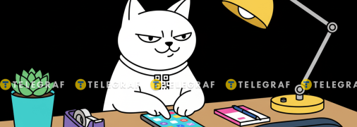 Кот-моно с телефоном