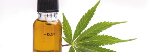 Не сигарети і не таблетки: Ігор Кузін розповів, як в Україні прийматимуть медичний канабіс