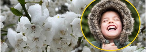 Жарти про погоду