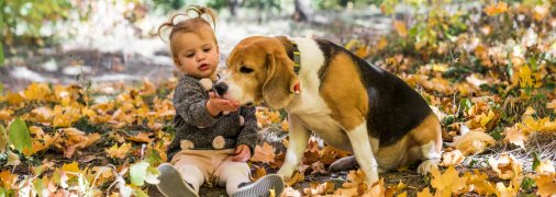 Ребенок с собакой осенью