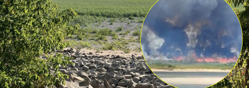 Заросли на месте Каховского водохранилища