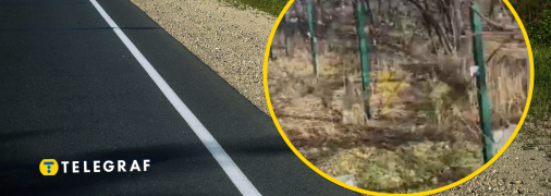 Остатки человека нашли