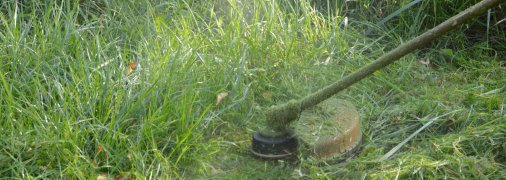 У промисловому місті поки не збираються впроваджувати більш екологічні ініціативи