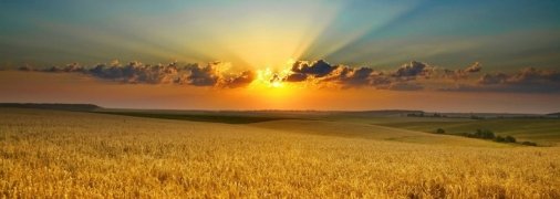 Мало кому пощастить з опадами: прогноз погоди на понеділок, 26 липня