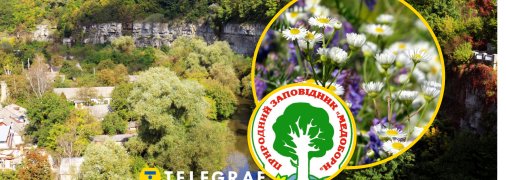 Природний заповідник "Медобори"