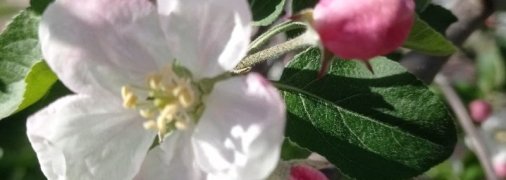 С погодой в выходные повезет не всем: синоптики рассказали, где будут идти дожди и грозы