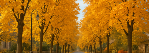 День осіннього рівнодення 22 вересня 2025