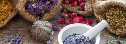 Хозяйке на заметку: как правильно сушить растения