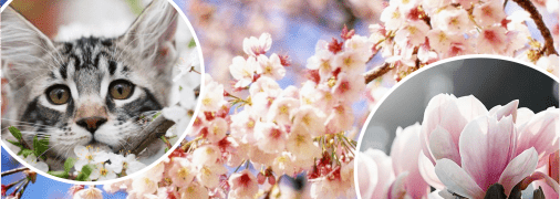 Прогноз погоди на квітень