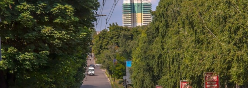 Проспект Поля летом