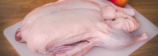 Как правильно ощипать и разделать домашнюю утку