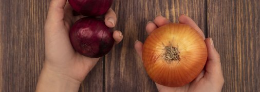 Цибуля повинна бути добре просушена