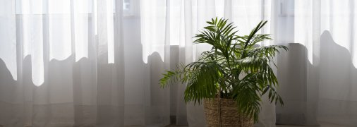 Легко і без зайвих клопотів