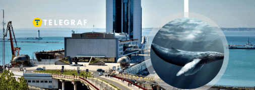 Що цікавого є в Одесі