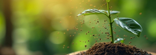 Кофейная гуща ускоряет рост растений и подпитывает их (изображение создано с помощью ИИ)