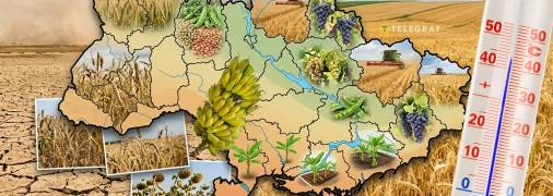 Які культури витіснять традиційні