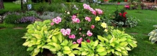 Дачный участок: оригинальное оформление цветников на даче (Фото)