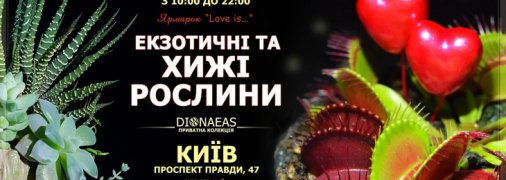 До Дня Всіх Закоханих в Києві відбудеться ярмарок "Love is..."
