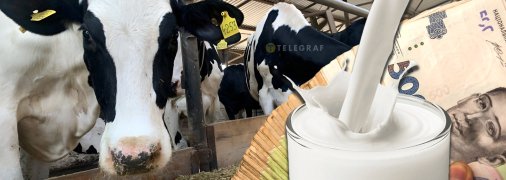 Малі ферми на межі закриття