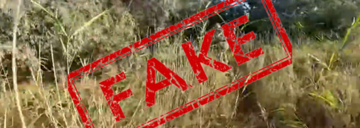 Видео появилось в пропагандистских Telegram-каналах