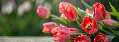 Неправильный уход может убить тюльпаны (изображение создано с помощью ИИ)