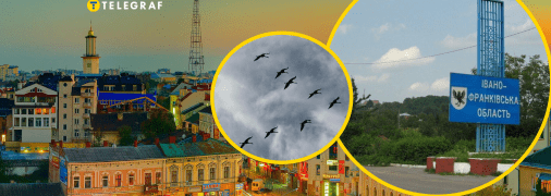 Птахи летять