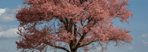 Вишневое дерево требует правильного ухода (изображение создано с помощью ИИ)