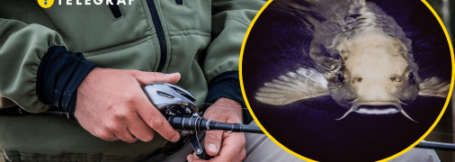 Колаж "Телеграфу"