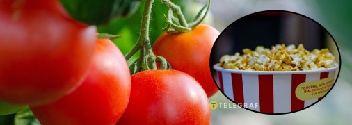 Є помідори, що нагадують смажену кукурудзу з маслом