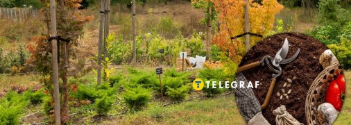 Вереснева посадка рослин принесе чудові результати