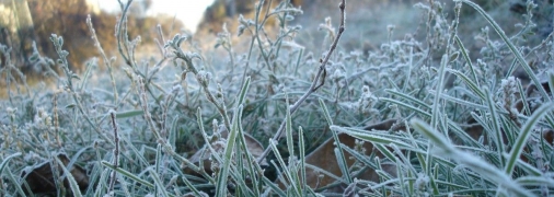 Погода в Украине