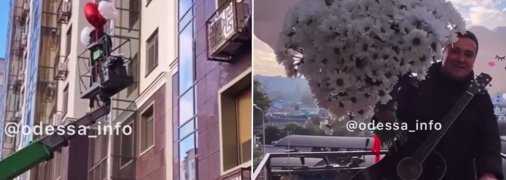 Парень подарил любимой огромный букет ромашек