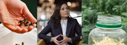 Альбіна Антоненкова