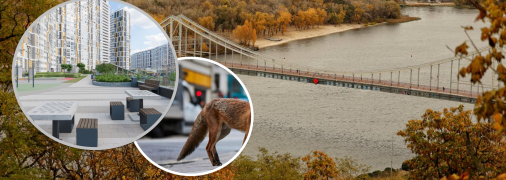 У Києві побачили небезпечного хижака