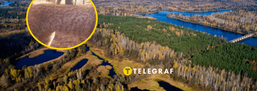 У Чорнобильському заповіднику побачили рідкісного хижака