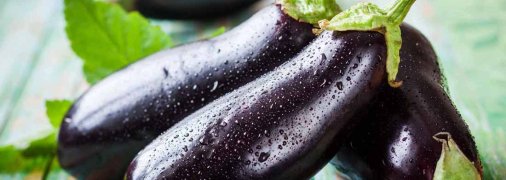 Что приготовить из кабачков и баклажанов: 8 лучших рецептов заготовок