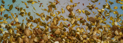 Семена нуждаются в правильных условиях хранения (изображение создано с помощью ИИ)