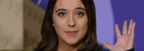 Мендель своей книгой преследует несколько целей, но вряд ли их достигнет, считают эксперты