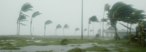 Ураган мчить на Флориду (ілюстрація)