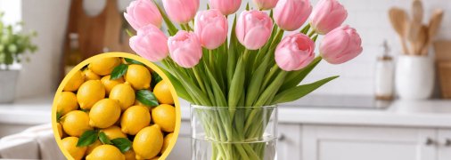 Тюльпани у вазі