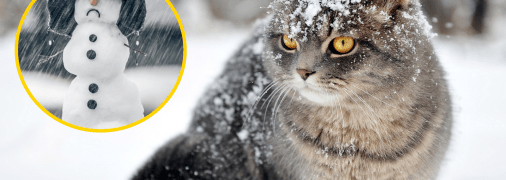 Погода в Украине