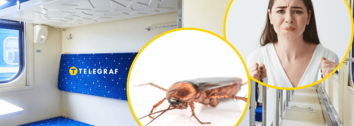 Таргани "марширували" по стінах вагона