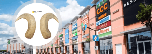 Рогата худоба