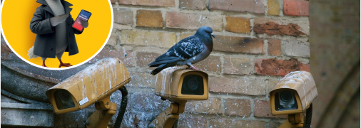 У lifecell пропонують особистого "Шпіоніро-голубіро": що входить у нову послугу