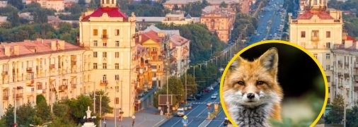 Иллюстративное изображение