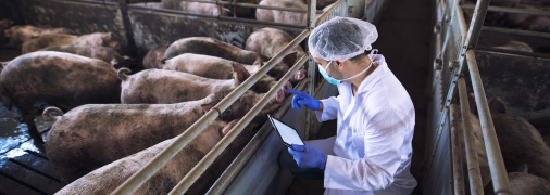 Ілюстративне зображення