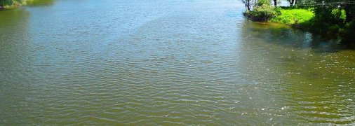 Річка П'яна в Росії