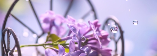 Дощ на бульварі Перова