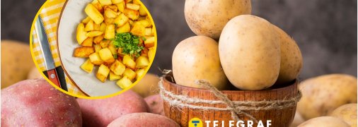 Важко знайти українця, який не любить картопельку